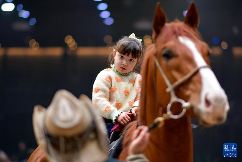 А?алтеке жалында ойна?ан к?шкентай шабандоз