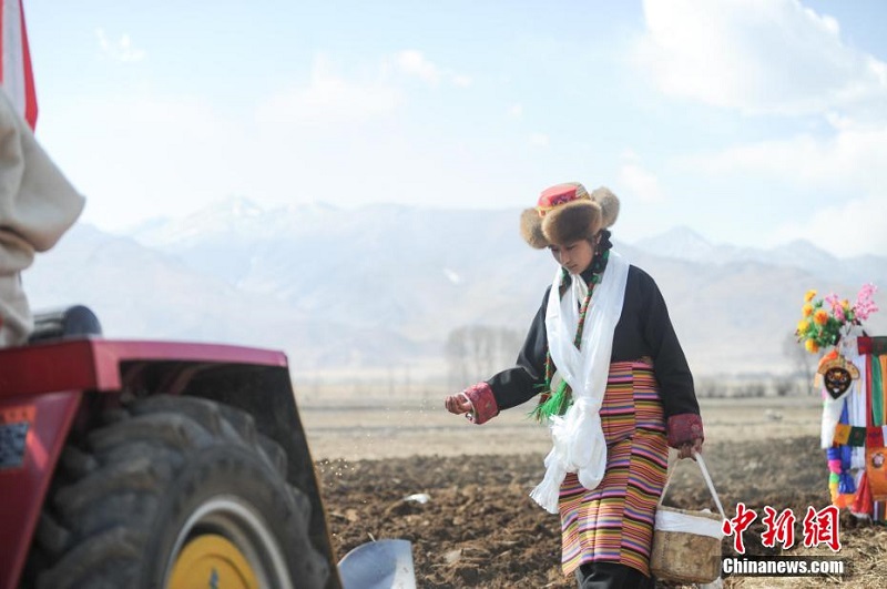 Сицзанда к?ктемн?? б?р?нш? сохасы салынды