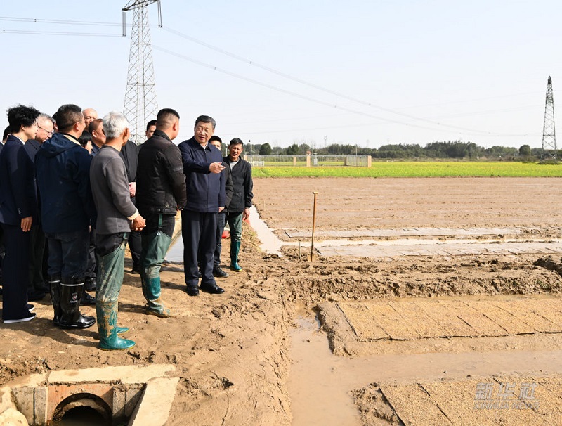 Си Цзиньпин к?ктемг? жер жырту мен жер жырту?а дайынды?ты тексеру ?ш?н ег?с басына барды