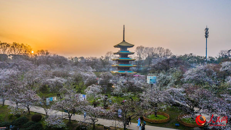 Ухань, Хубэй: Дунху к?л?ндег? шие г?лдер? к?з жауын алады