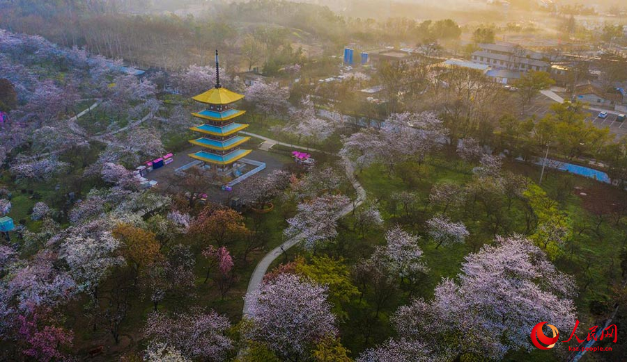 Ухань, Хубэй: Дунху к?л?ндег? шие г?лдер? к?з жауын алады