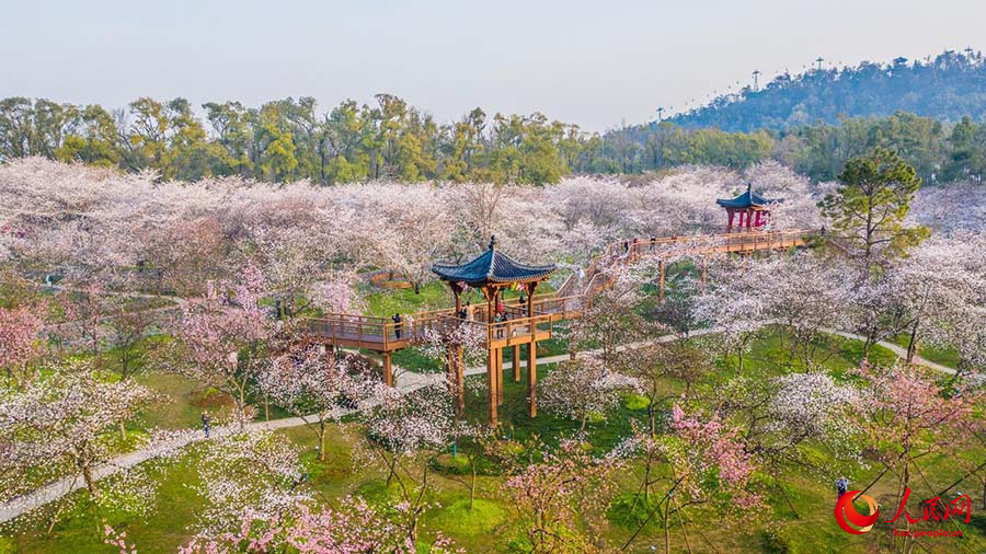 Ухань, Хубэй: Дунху к?л?ндег? шие г?лдер? к?з жауын алады