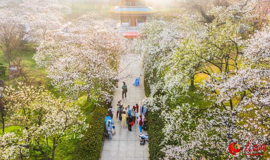 Ухань, Хубэй: Дунху к?л?ндег? шие г?лдер? к?з жауын алады