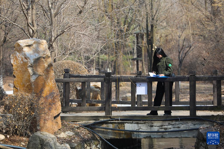 Жырт?ыш ??старды о?алту маманы Мэн Де: Мен?? а?сарым аспан?а ауады