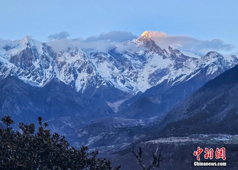 Сицзан Линьчжида шабдалы г?лдед?