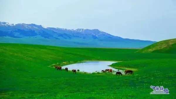 ?Мобильд? ?она? ?ймен? Шы?жа??а саяхат жаса?ыз