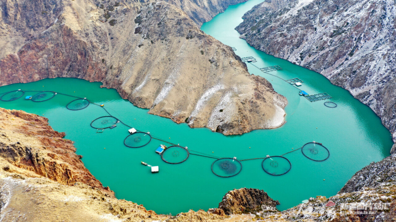 Ныл?ы ауданында?ы балы? ?с?ру базасы