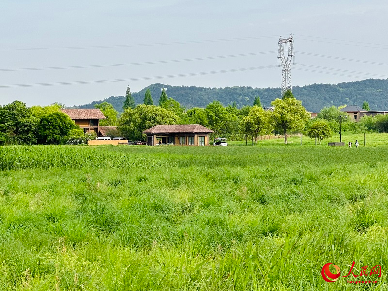 Лянчжу ?лтты? археологиялы? саяба?ын тамашала?ыз