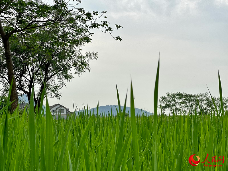 Лянчжу ?лтты? археологиялы? саяба?ын тамашала?ыз