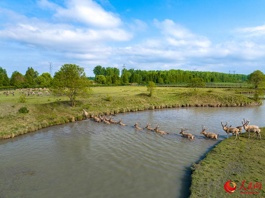 Тайчжоу, Цзянсу: Жа?сы экология ж?не б?ландар