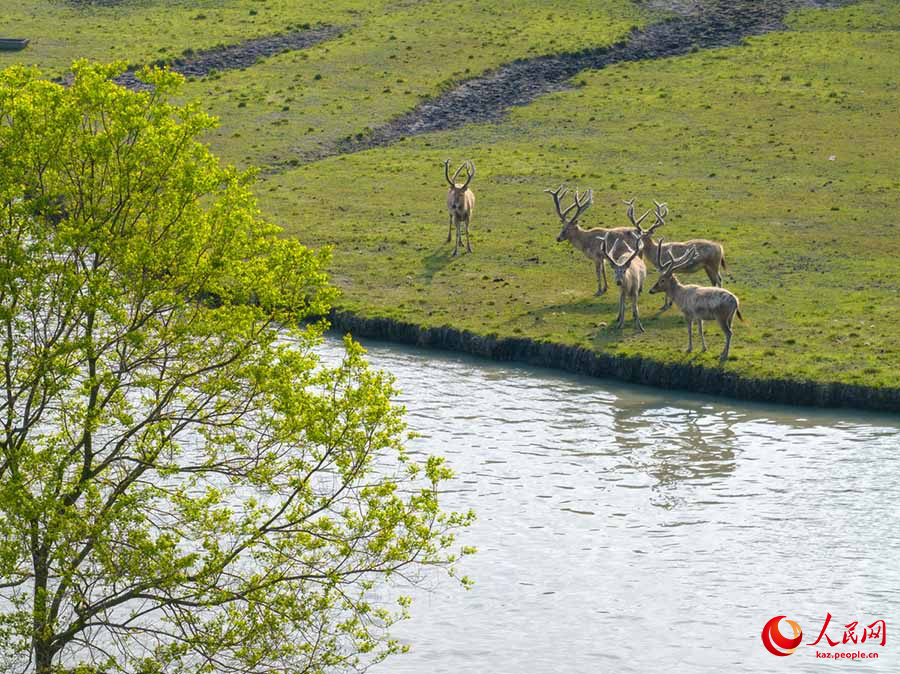 Тайчжоу, Цзянсу: Жа?сы экология ж?не б?ландар