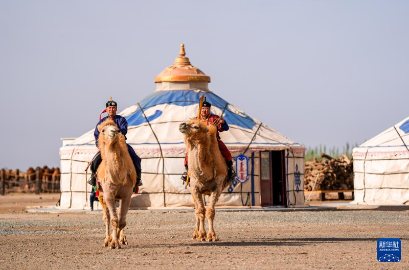 ?шк? Мо???лда?ы т?йе боталарыны? мерекес?