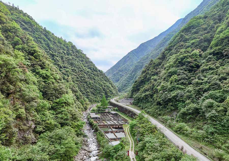 ?лтты? б?р?нш? де?гейде ?ор?алатын жануар - Сычуань-Шэньси Желуо а?серкес? ?олда с?тт? ?с?р?лд?
