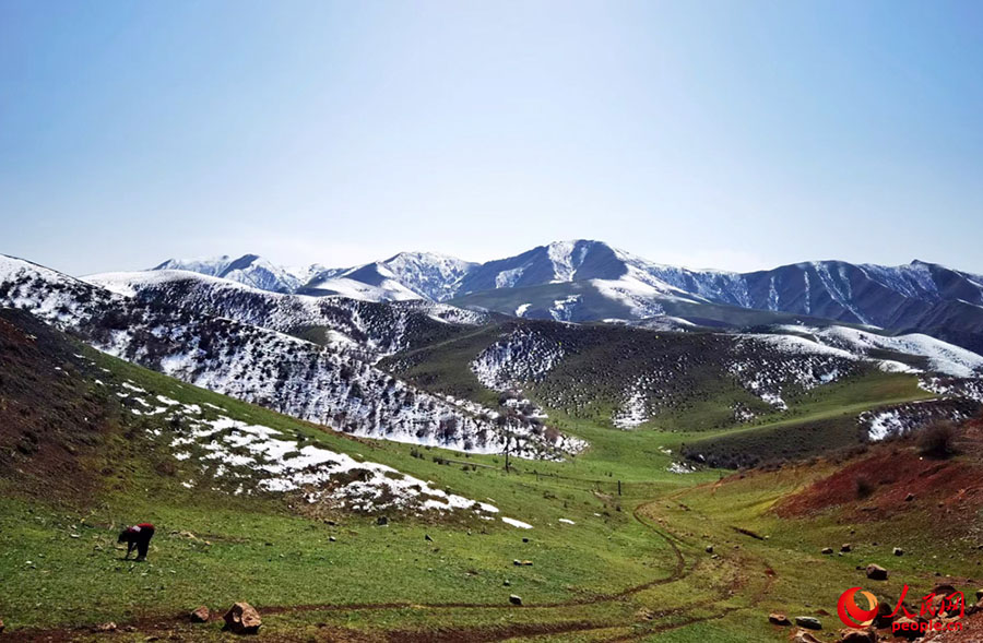 Шы?жа? Тяньшань д?л?з?н?? S101 тасжолы б?р к?нде т?рт мезг?лд? кес?п ?тед?