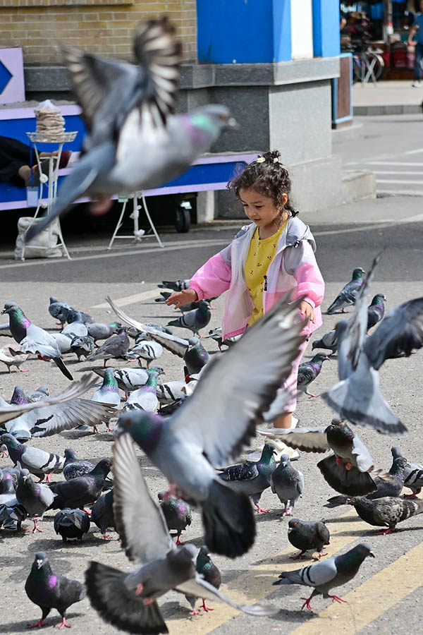 ??лжа, Шы?жа?: турист?к нары? жандана т?ст?