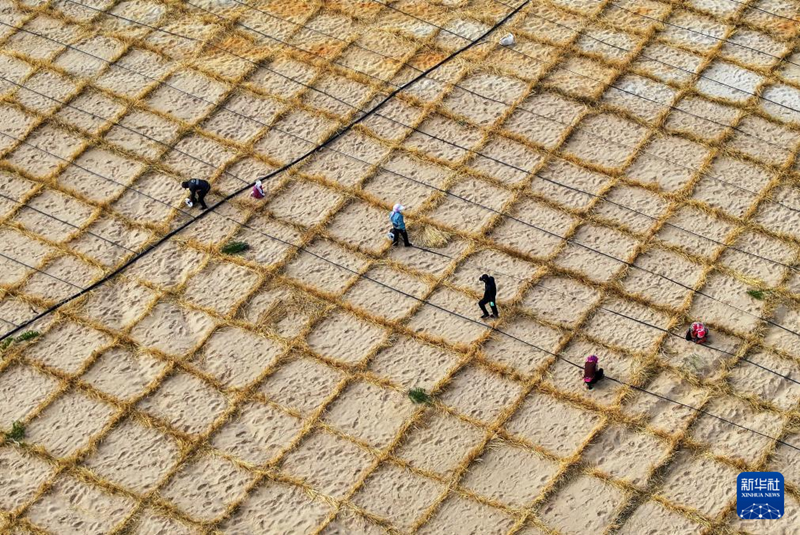 ?шк? Мо???лда ?р т?рл? ?д?стермен Коркинь ??мы т?зг?нделд?