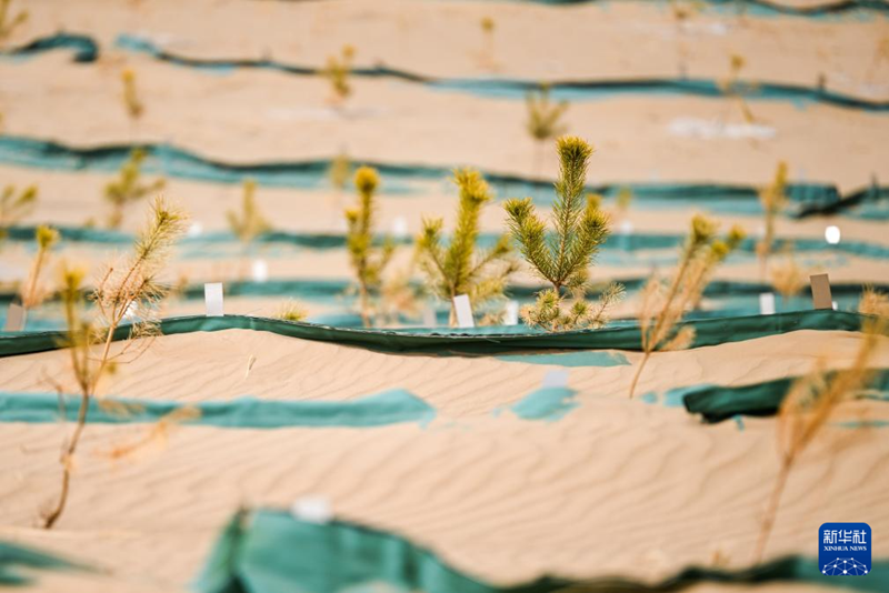 ?шк? Мо???лда ?р т?рл? ?д?стермен Коркинь ??мы т?зг?нделд?