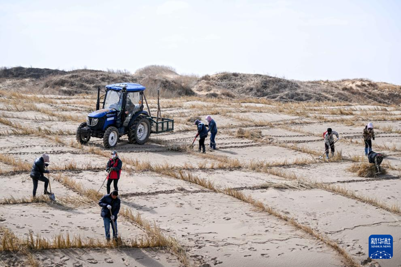 ?шк? Мо???лда ?р т?рл? ?д?стермен Коркинь ??мы т?зг?нделд?