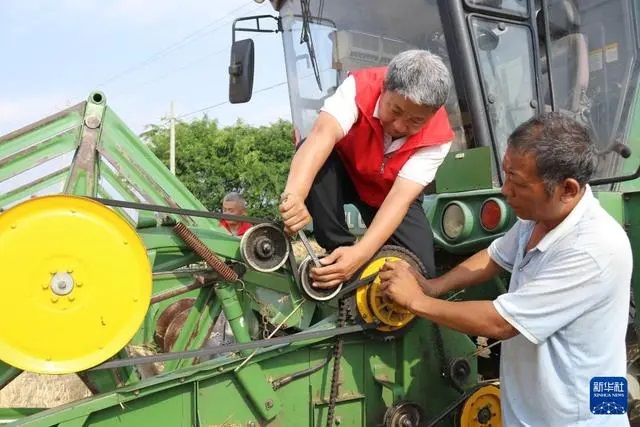 ?Орта жазы?та?ы асты? ?оймасы? бидай ору нау?анына к?рд?