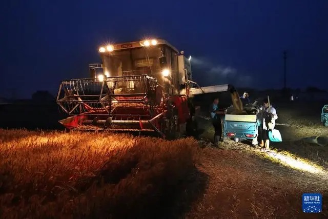 ?Орта жазы?та?ы асты? ?оймасы? бидай ору нау?анына к?рд?