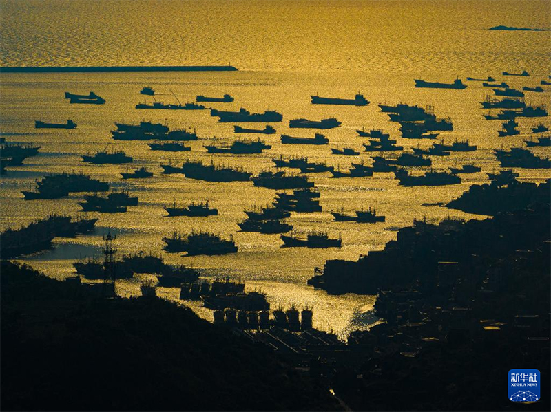 Чжэцзянны? Вэньлин?ндег? к?ркем балы? аулау порттары