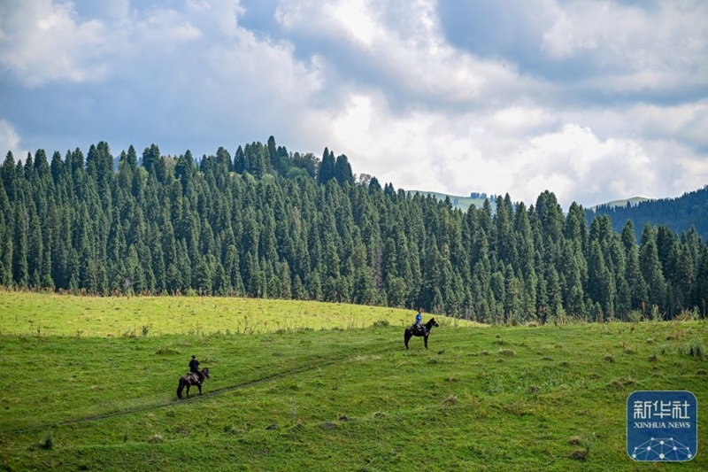 Шы?жа? жайлауында а?ындар айтысы ?тт?