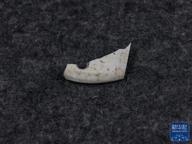 Саньсиндуй ?ирандыларында?ы ?ас тасы ??ралдарыны? археологиясы жа?а жет?ст?ктерге ?ол жетк?зд?