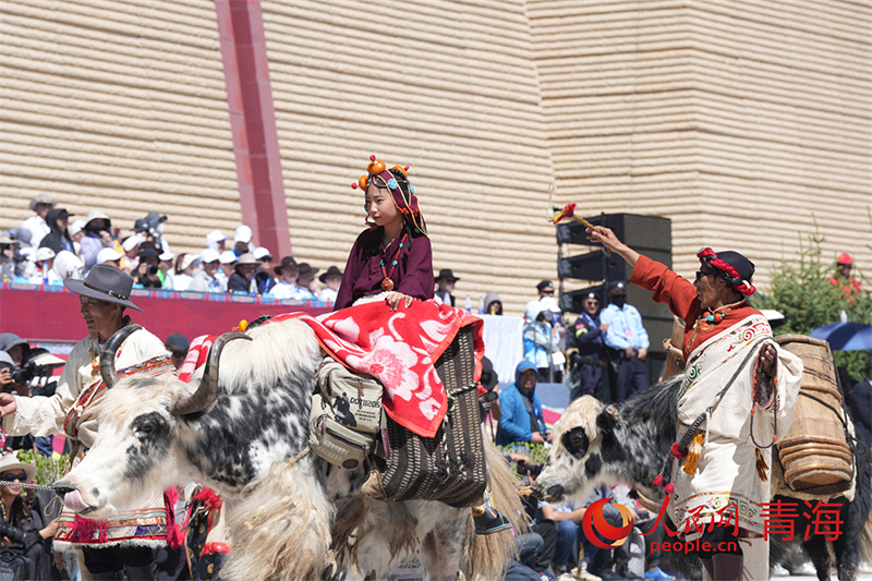 Цинхайды? Юйшу к?шелер?нде тартымды этникалы? стильдег? ?ойылым ?тт?