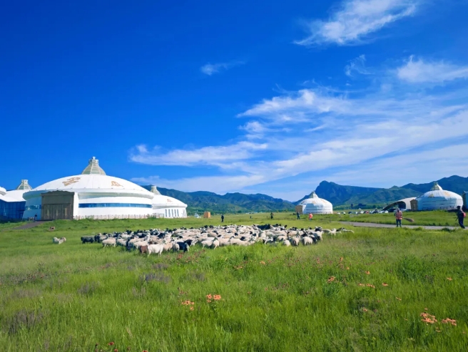 Шай жолында?ы тарихи ?ала – Хух-Хото