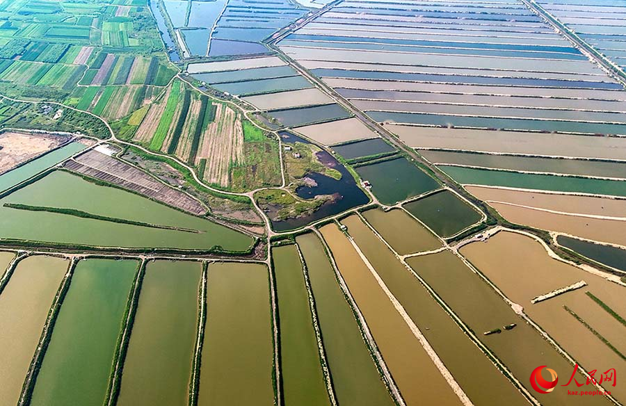 Цзимо, Шаньдун: ?Те??з фермасыны?? к?ркем к?р?н?с?