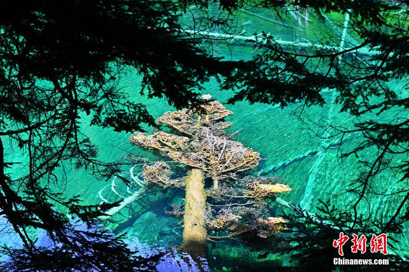 Сычуаньны? Цзючжайгоу ауданында?ы к?лш?ктер саяхат аума?ыны? к?р?н?с? туристерд? ?ызы?тырды