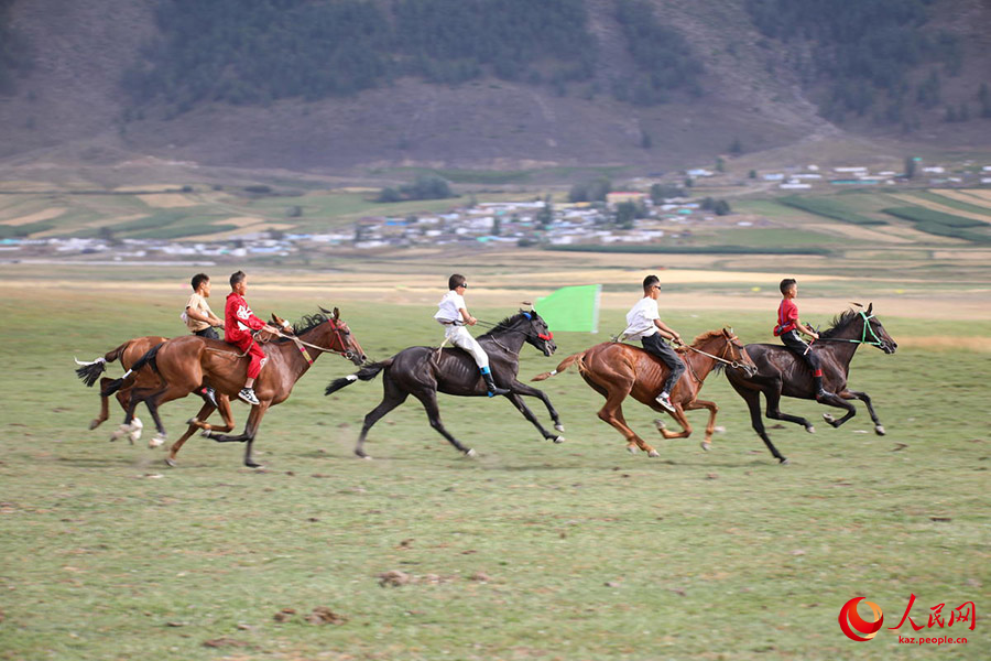 Алтай, Шы?жа?: Ат б?йгес? д?б?рлеп ?т?п жатыр