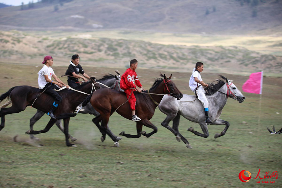 Алтай, Шы?жа?: Ат б?йгес? д?б?рлеп ?т?п жатыр