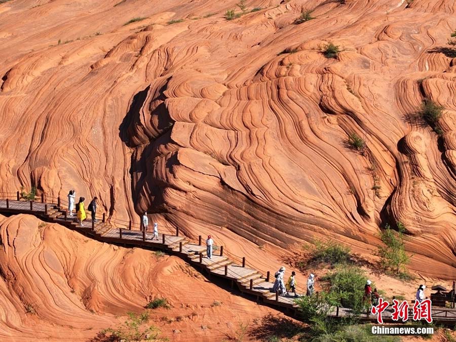 Цзинбиан, Шэньси: Сары топыра?ты ?ст?рттег? тол?ындар?а ??сайтын ??ызыл Дансия? жер бедер?