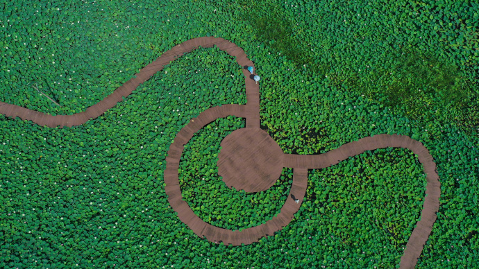 Уху та?амдарынан д?м таты?ыз