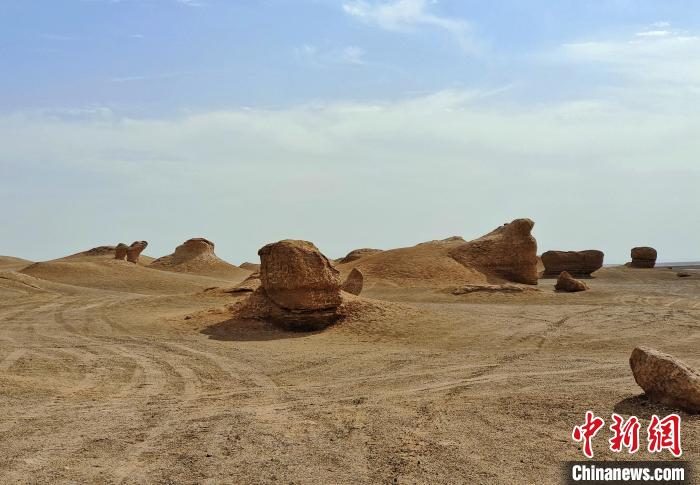 Шы?жа?ны? ??мылында?ы ?си?ырлы ?аланы?? ?ажайып к?р?н?с?