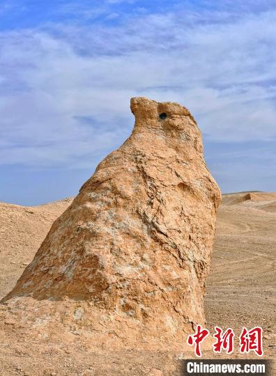 Шы?жа?ны? ??мылында?ы ?си?ырлы ?аланы?? ?ажайып к?р?н?с?