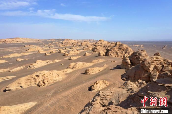 Шы?жа?ны? ??мылында?ы ?си?ырлы ?аланы?? ?ажайып к?р?н?с?