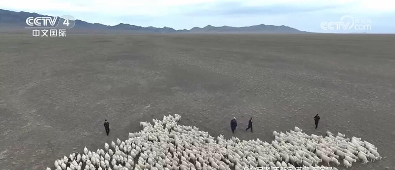 Полиция Шы?жа?ны? малшылы? аума?тарыны? к?зг? к?ш?не к?мектест?