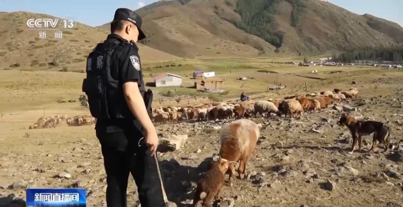 Полиция Шы?жа?ны? малшылы? аума?тарыны? к?зг? к?ш?не к?мектест?