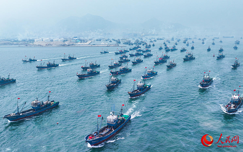 Шаньдунда балы? аулау маусымы басталды