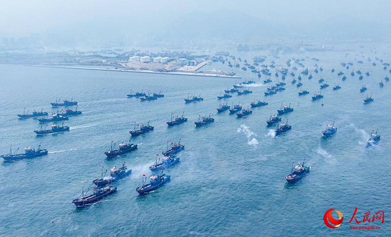 Шаньдунда балы? аулау маусымы басталды