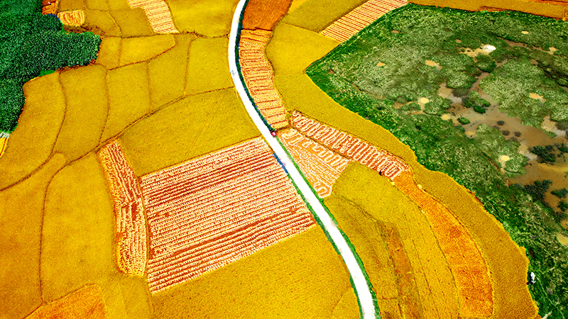 К?здег? алтын т?ст? к?р?ш ал?аптары