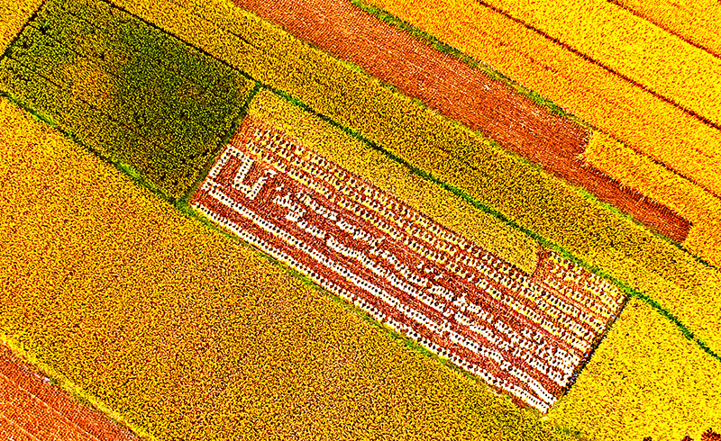 К?здег? алтын т?ст? к?р?ш ал?аптары