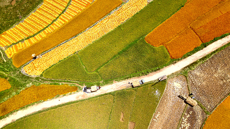 К?здег? алтын т?ст? к?р?ш ал?аптары