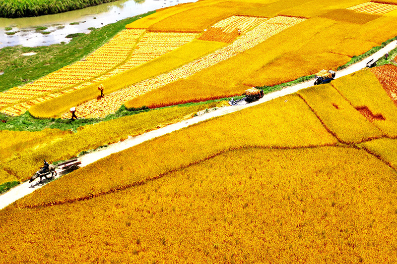 К?здег? алтын т?ст? к?р?ш ал?аптары