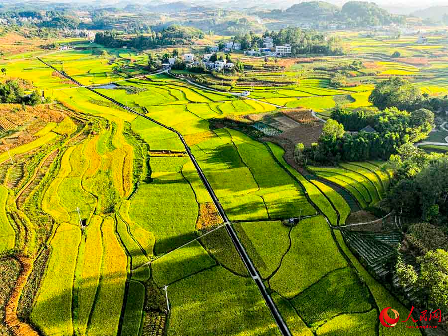 Цяньси, Гуйчжоу: Мол ?н?м мен к?ркем ауыл