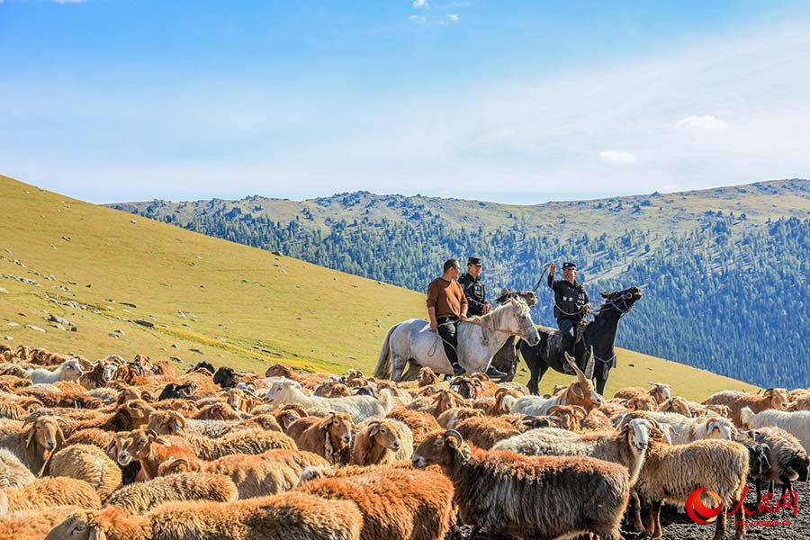 Буыршын, Шы?жа?: к?зг? к?шке к?мектескен полицейлер