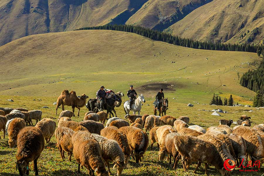 Буыршын, Шы?жа?: к?зг? к?шке к?мектескен полицейлер