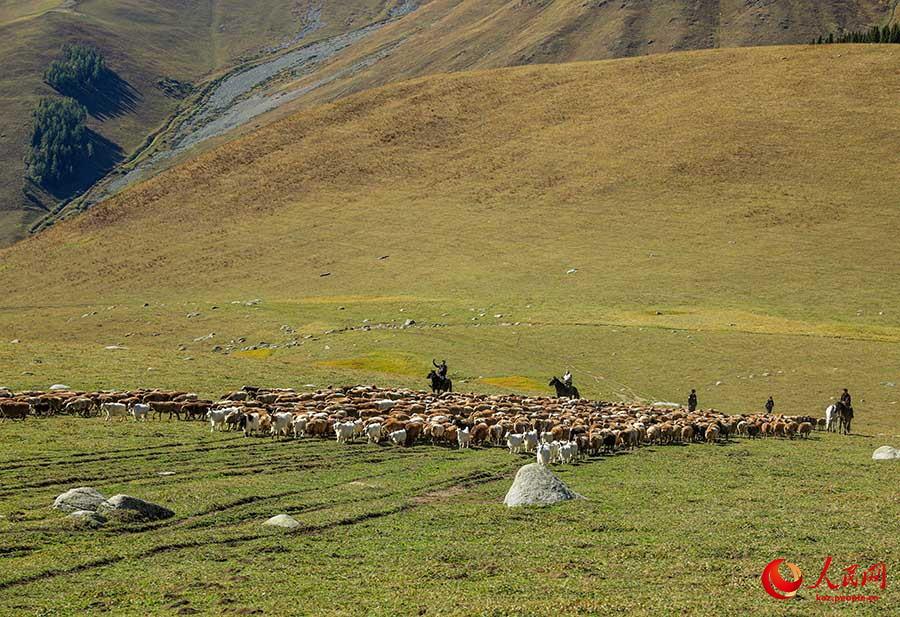 Буыршын, Шы?жа?: к?зг? к?шке к?мектескен полицейлер